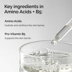 Ingredients of Amino Acids + B5